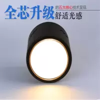 欧普 LED明装筒灯（4寸）暖光