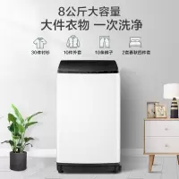 美的(Midea) 波轮洗衣机全自动8公斤 MB80ECO1