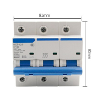 LBYZY NXB微型断路器 小型过载空气开关 NXB-125-3P 80A