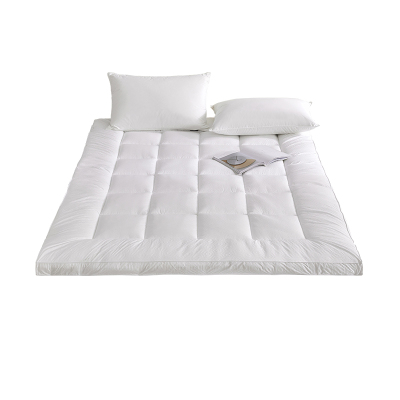 茜茜公主抗菌防螨加厚压花保暖舒适垫床垫