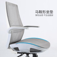 西昊(SIHOO)人体工学电脑椅子 家用办公学习椅 全网布透气转椅座椅 M59B-全网款