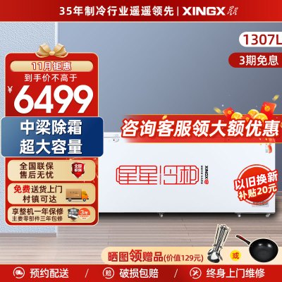 星星(XINGX) 商用大冷柜 节能省电 大冷冻力冰柜 冷藏冷冻转换柜 BD/BC-1398GE