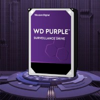 西部数据(WD)紫盘 监控硬盘 1TB 5400转