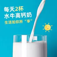 石埠 250ml养力香蕉牛奶+200ml纯牛奶+200ml核桃花生牛奶+200ml水牛高钙牛奶 各一箱(一组装)