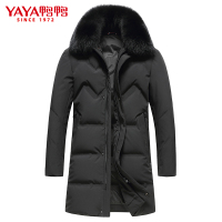 鸭鸭(yaya) 冬季男士羽绒服时尚休闲潮流中长款毛领保暖冬装外套