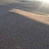 天然沙 海沙
