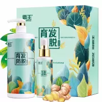 霸王 防脱精华液套装(防脱洗发液+亮发精华)