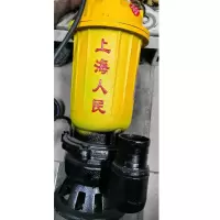 水泵 抽水泵潜水泵灌溉泵排水排污泵 (上海人民)