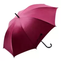 直杆晴雨伞 XC0005 双人纤维骨直杆雨伞晴雨伞(单位:把)