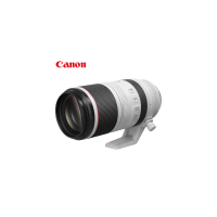佳能(Canon)远摄变焦镜头 微单镜头 RF100-500mm F4.5-7.1 L IS USM