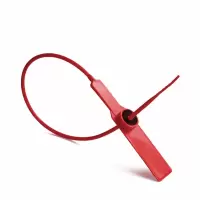 安赛瑞(SAFEWARE)塑料封条(100根装)一次性塑料铅封 物流防盗施封锁 货柜安全封条 绿色 全长28cm