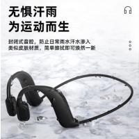 山水（SANSUI） 蓝牙耳机 TG6新概念耳挂蓝牙耳机运动不入耳无线双耳挂防水防汗