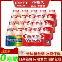 养乐多活菌型乳酸菌乳饮品