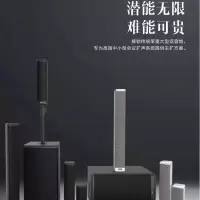 飞利浦 会议室音响系统 含手持无线话筒/功率放大器 /挂架