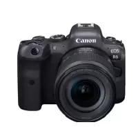 佳能（Canon）EOS R6 （RF24-105mm STM）微单相机 数码相机 （含手腕带、原装电池、128g内存）