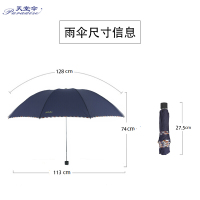 天堂伞 3311E碰击布 伞 把