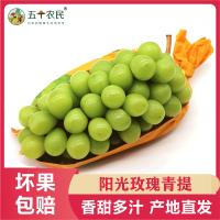 [五个农民]阳光玫瑰日本晴王无籽葡萄青提4斤一级果应季新鲜水果