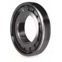 NSK NJ1044MM 单列圆柱滚子轴承 NJ1044MM(包装数量 1个)