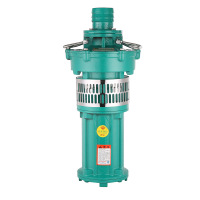 SRSC上海人民 QY型油侵式潜水泵 抽水泵灌溉油浸泵 QY100-4.5-2.2