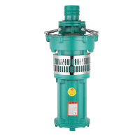 SRSC上海人民 QY型油侵式潜水泵 抽水泵灌溉油浸泵 QY65-7-2.2