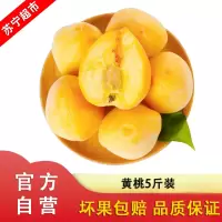 新鲜黄桃5斤装 应季桃子 水果 自营黄桃桃子