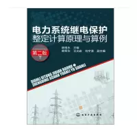 天星 电力系统继电保护整定计算原理与算例(二版)