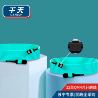 千天(QANTOP)光纤跳线 OM4万兆多模 100G光模块用集束光纤线 MPO-MPO母头12芯QT-GXTX451