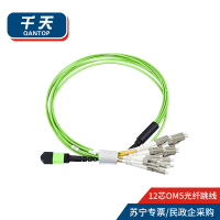 千天(QANTOP)光纤跳线OM5万兆多模100G光模块用集束光纤线1分12芯MPO-LC QT-GXTX539