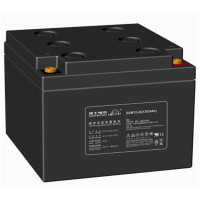 理士 DGW12-24(12V24Ah) 胶体蓄电池黑色 适用于通讯(只)
