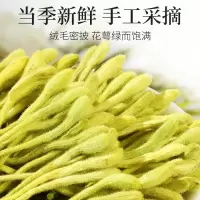 封丘金银花30克 罐装