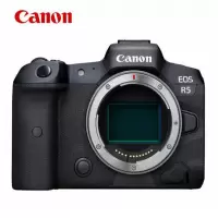 佳能（Canon）EOS R5 Vlog微单相机专业微单（含原装电池、国产电池、高速存储卡）