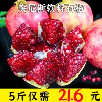 四川会理突尼斯软籽石榴带箱5斤装(约7-9个) 应季水果 苏宁自营水果