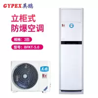 英鹏(GYPEX) BFKT-5.0 柜机空调 防爆空调 2匹 防爆空调 柜机 一价全包(包15米铜管)