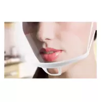 ZDET 厨房口罩(个)