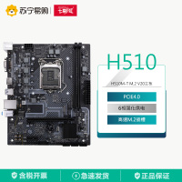 七彩虹H510M-T M.2 V20主板