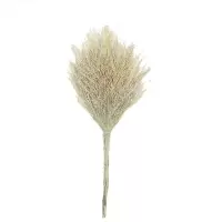桃李世家 扫把 210—240cm 竹