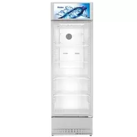 海尔SC-328DS展示柜风冷无霜饮料冷藏柜商用超市保鲜柜透明玻璃门单门冰箱立式冰柜啤酒冰箱冰柜