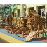 世礼(SL)幼儿园户外大型建构碳化超大块防腐炭烧积木玩具868块套装
