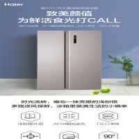 海尔冰箱 537升 精选多类家用冰箱 变频节能 净味保鲜 精细储藏 BCD-537WDPR yz