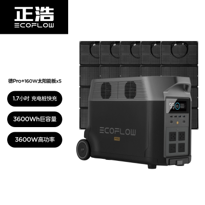 ECOFLOW正浩新品德 Pro3600Wh户外移动电源房车游艇移动电站大容量大功率户外电站德 Pro+5块160W太阳