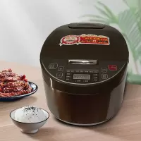 艾美特(Airmate) 微电脑电饭煲 CF3001