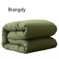 Brangdy 6斤被子 新疆棉花被子 1.8*2米 SHZ-07 单位:条