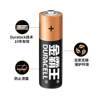 金霸王(Duracell)碱性电池 5号电池 10节/组