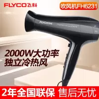 飞科(FLYCO) 电吹风2000W大功率 恒温护发技术 FH6231