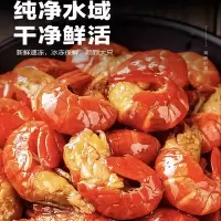 黄海(HUANGHAI) 麻辣龙虾尾 250g 盒装