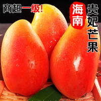 冠町 海南贵妃芒果 中果5斤装单果120g左右 新鲜特产水果生鲜