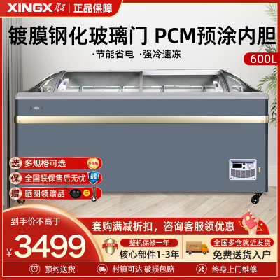 星星(XINGX)SD/SC-609BYE 600升 雪糕饮料柜 冰柜商用展示柜 冷藏冷冻转换 卧式展示柜 雪糕柜