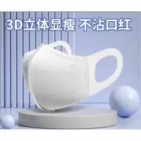 DREHA 3D立体口罩10只装