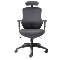 DP 西昊M18(SIHOO) 人体工程学椅电脑椅子 撑腰办公椅可躺