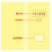 匠物堂 定制档案袋 100个(不含不干胶贴)